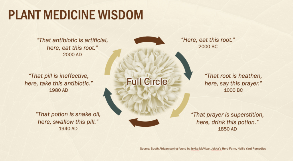 Plant Medicine Wisdom